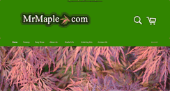 Desktop Screenshot of mrmaple.com