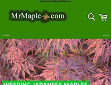 Tablet Screenshot of mrmaple.com